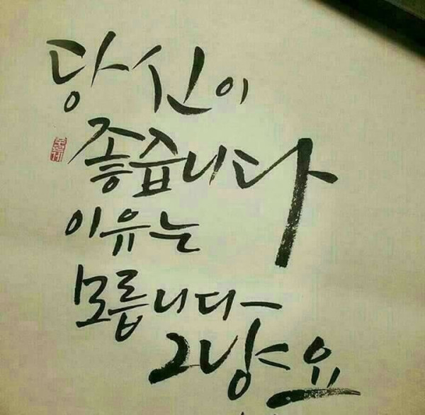 한국타이어녀...